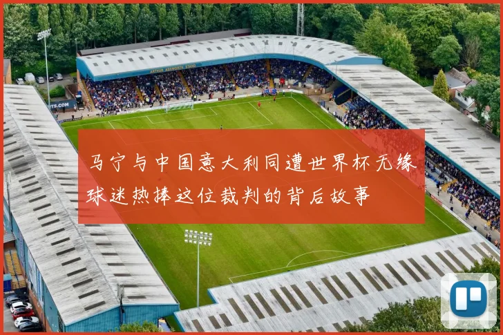 马宁与中国意大利同遭世界杯无缘球迷热捧这位裁判的背后故事
